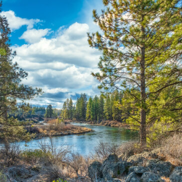 Annonce de journées sans frais dans les parcs nationaux des États-Unis en 2024