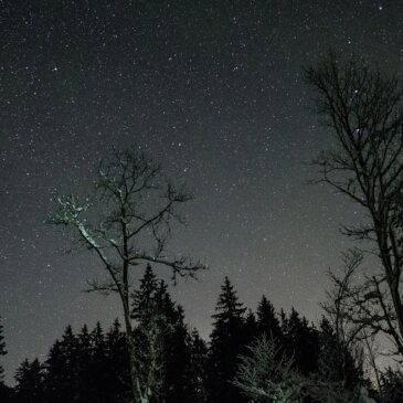 Délices célestes : Le ciel nocturne de février offre un spectacle stellaire