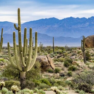 Visa pour l&rsquo;Arizona
